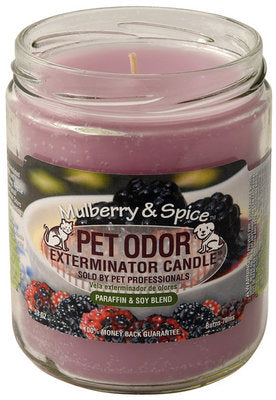 Pet Odor Exterminator Candle, Mulberry &amp;amp; Spice
