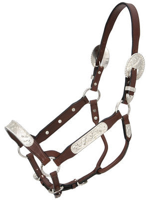 Berry Edge Silver Congress Horse Show Halter
