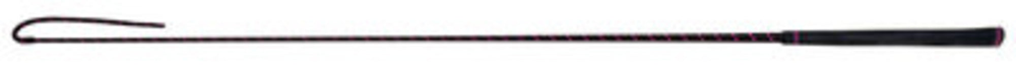 Topaz Schooling Whip