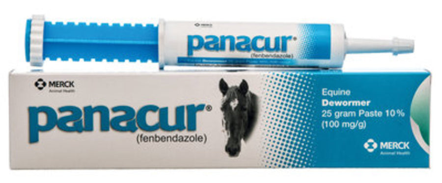Panacur Horse Dewormer Paste, 25 g