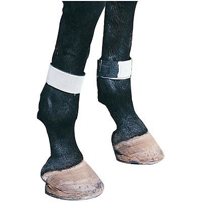 Defy the Fly Leg Bands (set of 4)