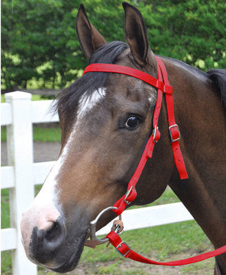 Nylon Bridle w/ Split Reins