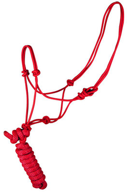 Rope Halter with Lead