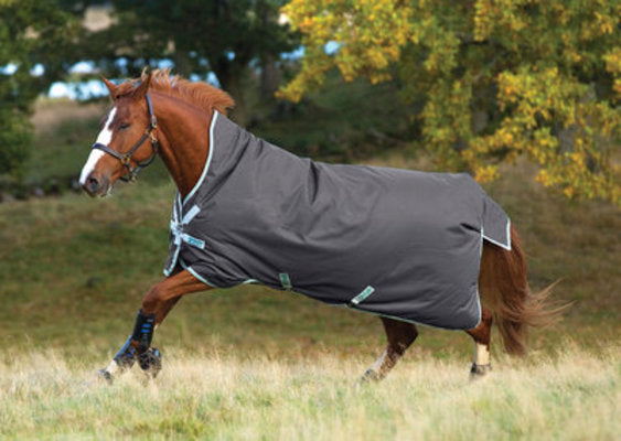 Amigo Bravo 12 Wug 1200D Horse Blanket, 240g
