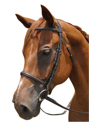 Fancy Stitched Bridle w/Reins