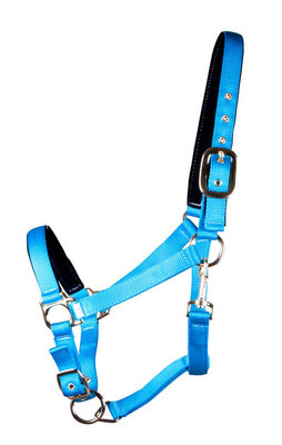 Lined Adjustable Nylon Halter for Medium Horse (600-900 lb)