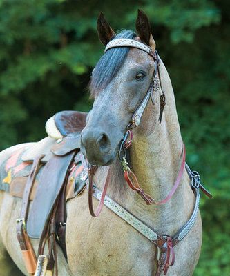 Weaver Montana Sky Collection