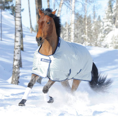 Bucas Power 1000D Turnout Horse Blanket 300g, Heavy Weight