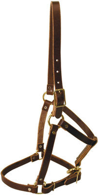 Riveted Leather Halter