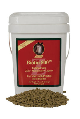 Kaeco Biotin 800 Z Pellets