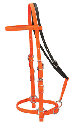 Trail Gear Halter Bridle