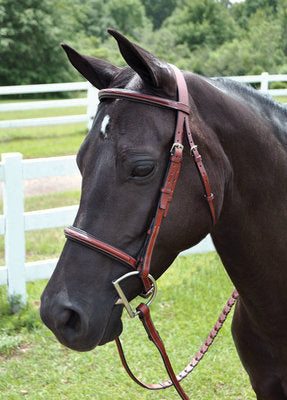 Perri&amp;#39;s Professional Fancy Stitched Padded Bridle