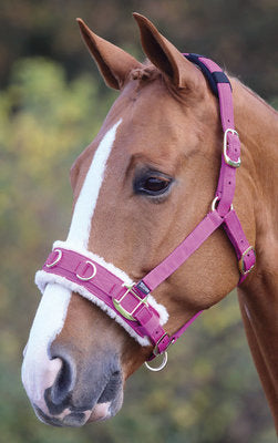 Fleece Lined Lunge Cavesson, Full Size