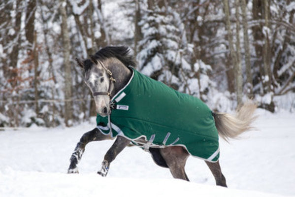 Rambo Original w/ Leg Arches Heavy Weight Blanket