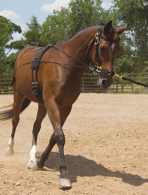 Balanced Training Set 