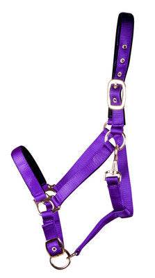 Large Horse Adjustable Halters, (900-1200 lb)