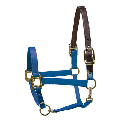 Perri&#39;s Breakaway Halter, Cob size
