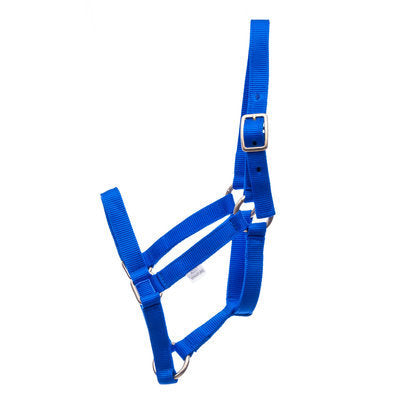 Jeffers Miniature Horse Halter, 2-yr old (under 200 lb)