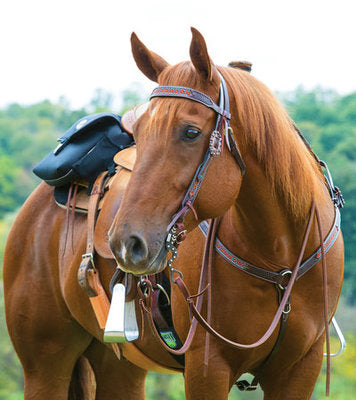Turquoise Cross Beaded Basket Weave Tack Collection