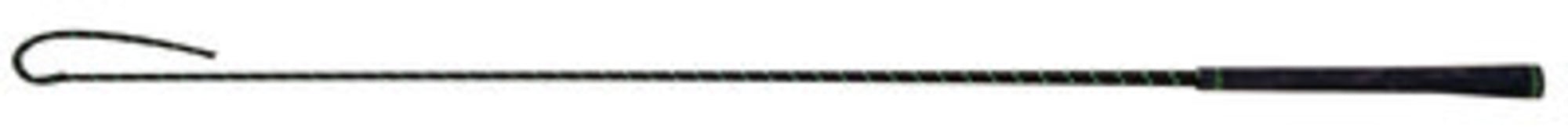 Topaz Schooling Whip