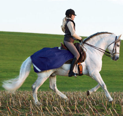 Amigo Competition Sheet