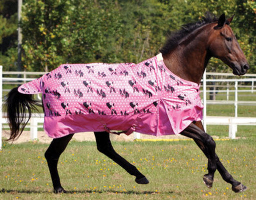 Jeffers 600D &amp;quot;Preppy Bostons&amp;quot; Expression Turnout Blanket, 240g