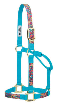 Paisley Nylon Halter, Turquoise/Paisley