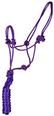 Rope Halter with Lead