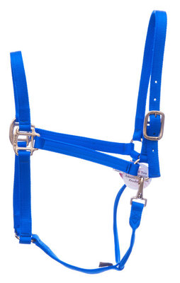Nylon Draft Halter, large (2000-2400 lb)