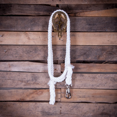 Colorful Cotton Lead Ropes w/Nickel Bull Snap