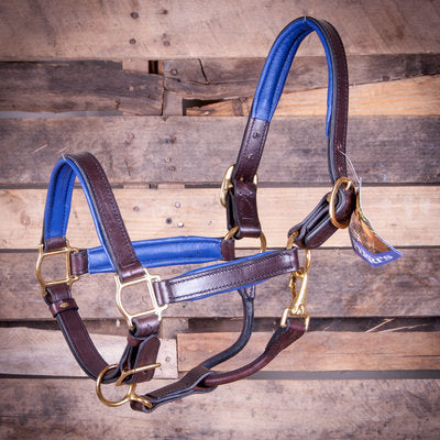 Perri&amp;#39;s Soft Padded Leather Halter, Havana/Blue