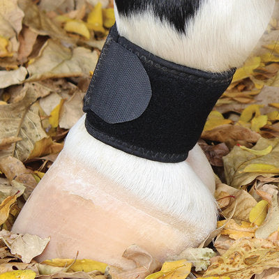 VenTECH Pastern Wraps, pair