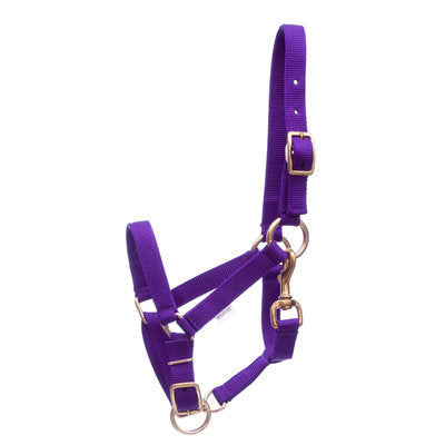 3/4&quot; Adjustable Nylon Miniature Halter