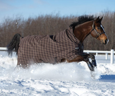 Rhino Wug Turnout, Heavy Weight, Chocolate/Cream Check