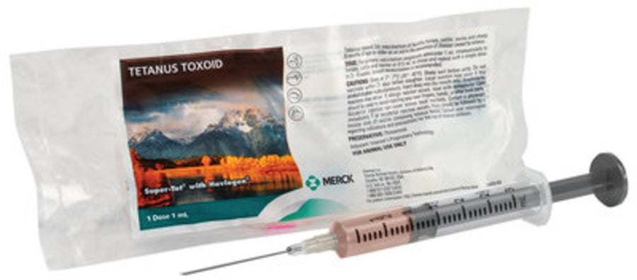 Super-Tet with Havlogen