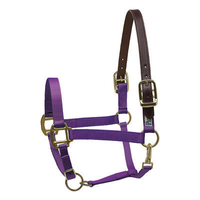 Perri&#39;s Breakaway Halter, Cob size