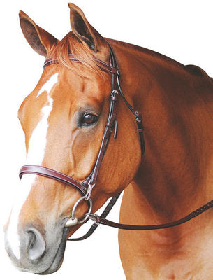 HDR Training Bridle