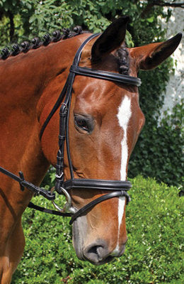 Nunn Finer &amp;quot;Brentina&amp;quot; Dressage Bridle