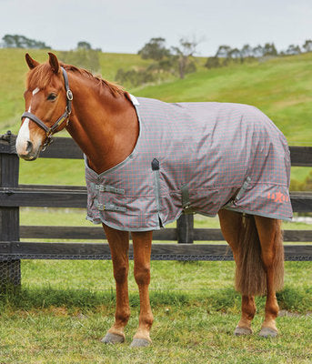 Saxon 600D Standard Neck Blanket, 180g Gray/Coral