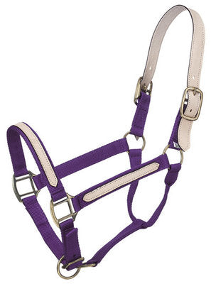 Leather Overlay Breakaway Halter