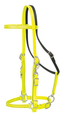 Trail Gear Halter Bridle