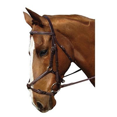 Figure-8 Noseband Bridle