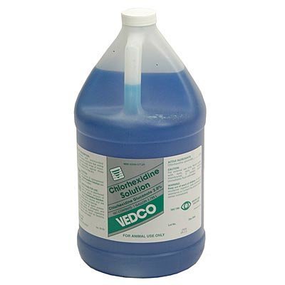 Generic Chlorhexidine Solution, Gallon