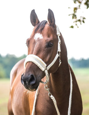 Horze Crescendo Halter