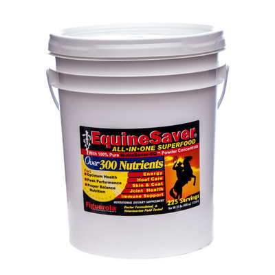 EquineSaverÔö£├ÂÔö£├éÔö¼ÔòØ├ö├Â┬╝Ôö¼┬ó