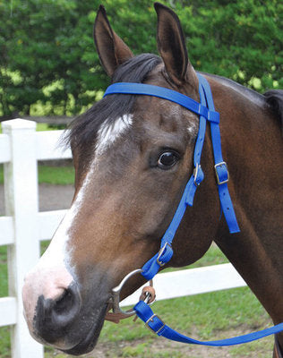 Nylon Bridle w/ Split Reins