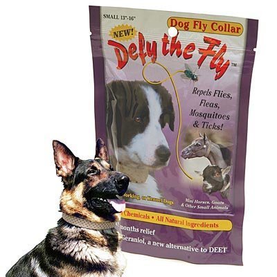 Defy the Fly Collars