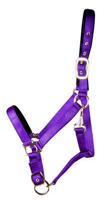 Lined Adjustable Nylon Halter for Medium Horse (600-900 lb)