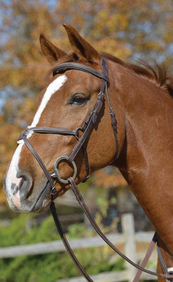 Shires Phoenix Figure-8 Bridle 