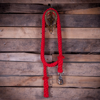 Colorful Cotton Lead Ropes w/Nickel Bull Snap